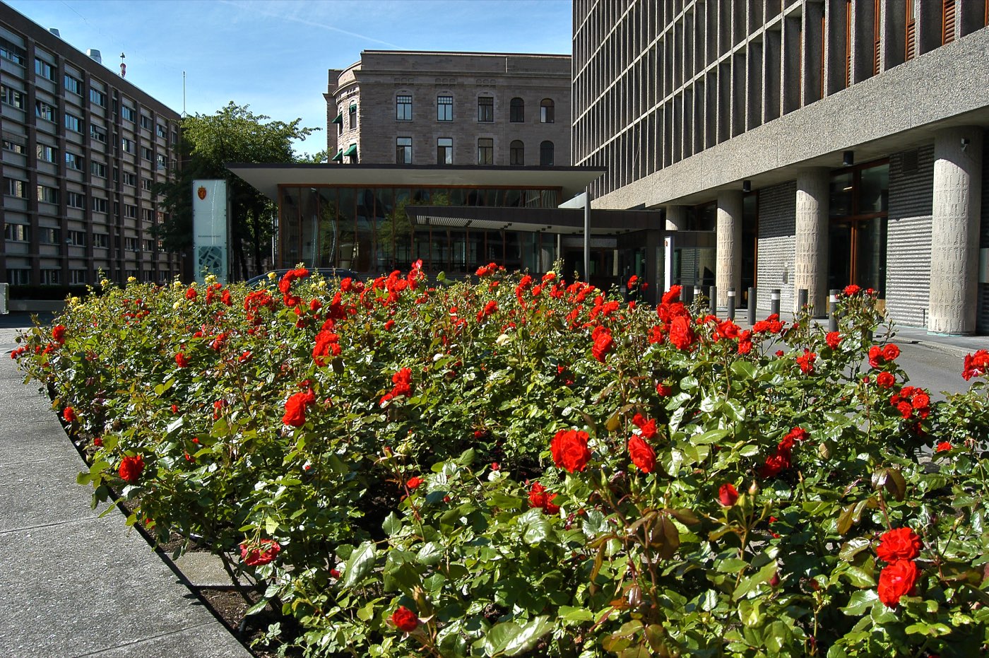 The government quarter in Oslo, Norway, with the tall H-block tower and surrounding government buildings, photographed before the attack.