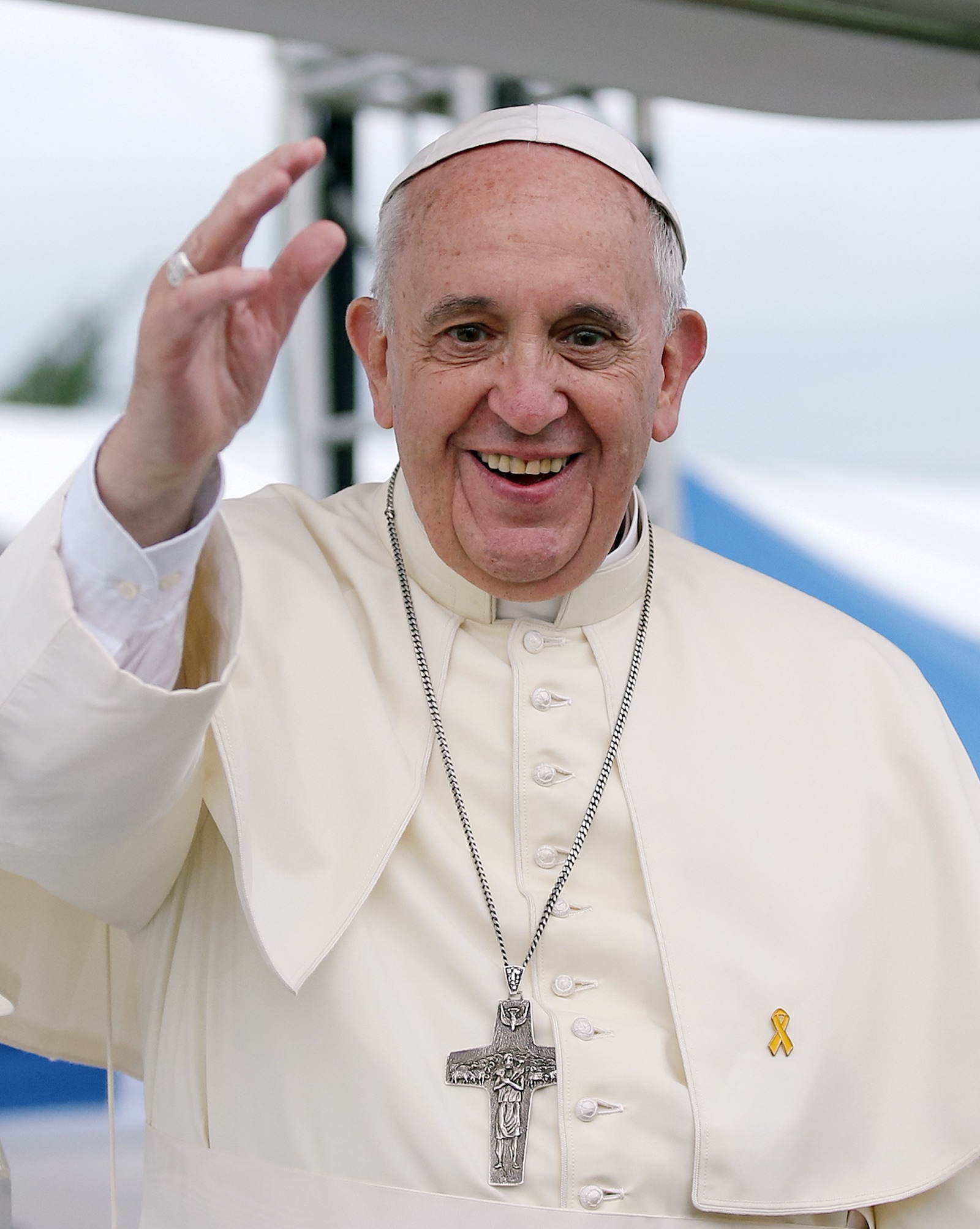Pope Francis in 2014.