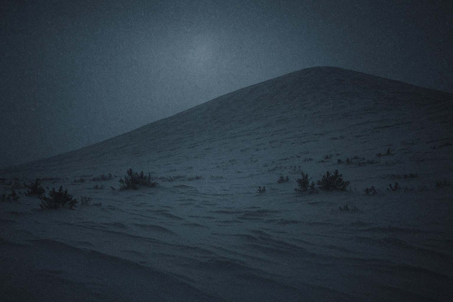 An empty, gently-angled snow slope on a Northern Ural mountainside at night — windblown snowfield drifting in low ridges across the foreground, sparse low cedar shrubs poking through the snow, overcast grey-blue sky lit faintly from behind by an obscured moon. No human figures, no tent, no equipment, no tracks.