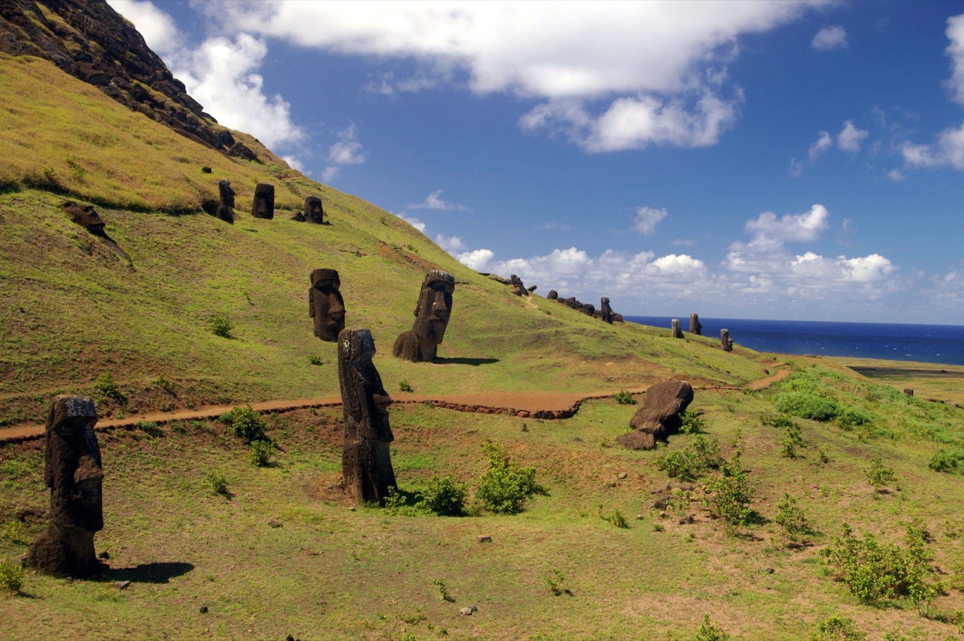 The grassy slope of the Rano Raraku quarry crater with numerous moai standing and buried across the hillside.