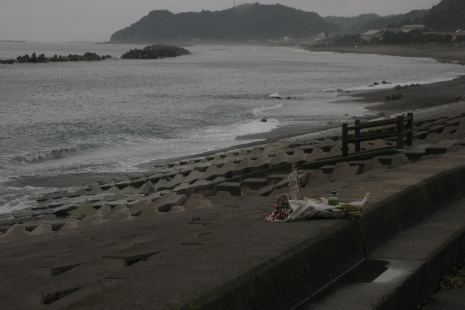 A grey, overcast stretch of the Fukushima coastline after the tsunami — a concrete sea wall lined with interlocking tetrapod blocks, a broken wooden railing, dark water breaking against the shore, wooded headlands receding into haze, and a small bunch of memorial flowers and a drink offering left on the sea wall in the foreground.
