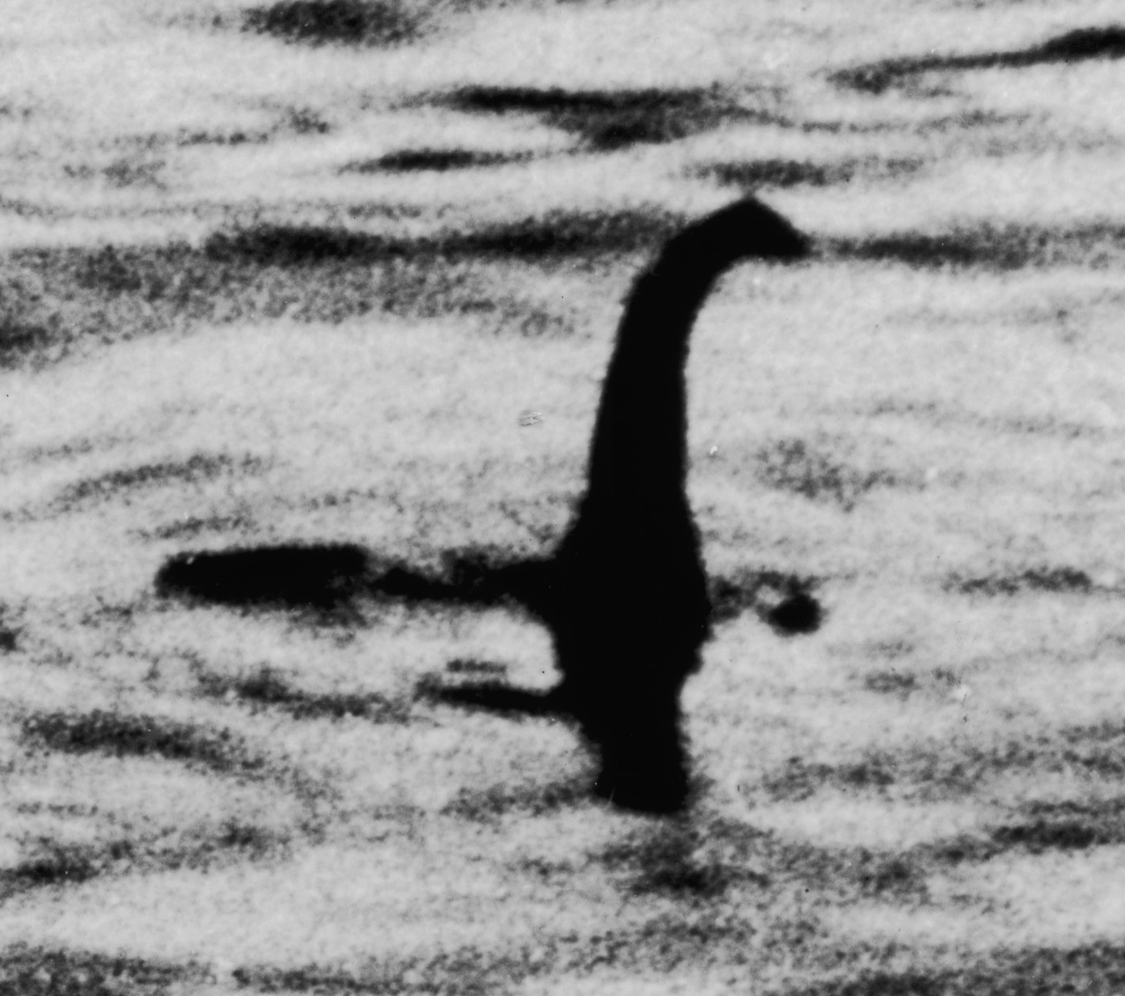 The black-and-white 'Surgeon's Photograph' of 1934 — a small head on a slender, curving neck rising out of rippled water, the classic image of the Loch Ness Monster.