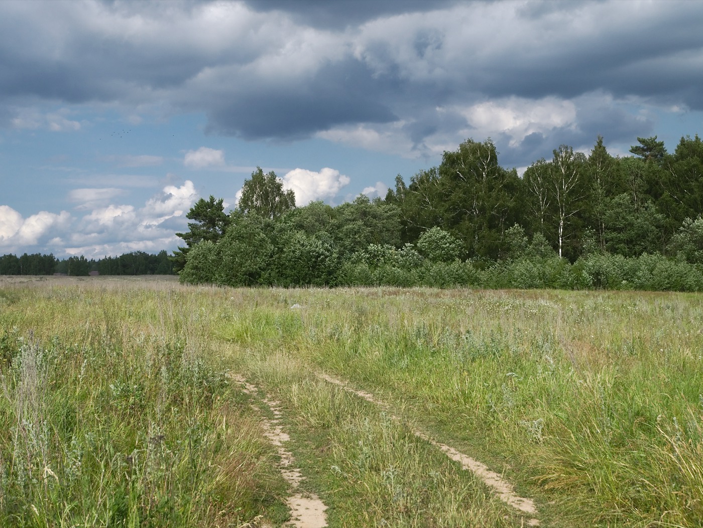 Russian countryside with fields and a treeline, the kind of rural setting where a dacha would stand.