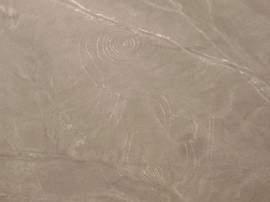 The Nazca geoglyph of a monkey with a long spiralling tail, etched into the desert floor.