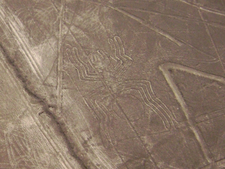 The Nazca geoglyph of a spider, a large figure with legs radiating from a central body, etched into the desert.
