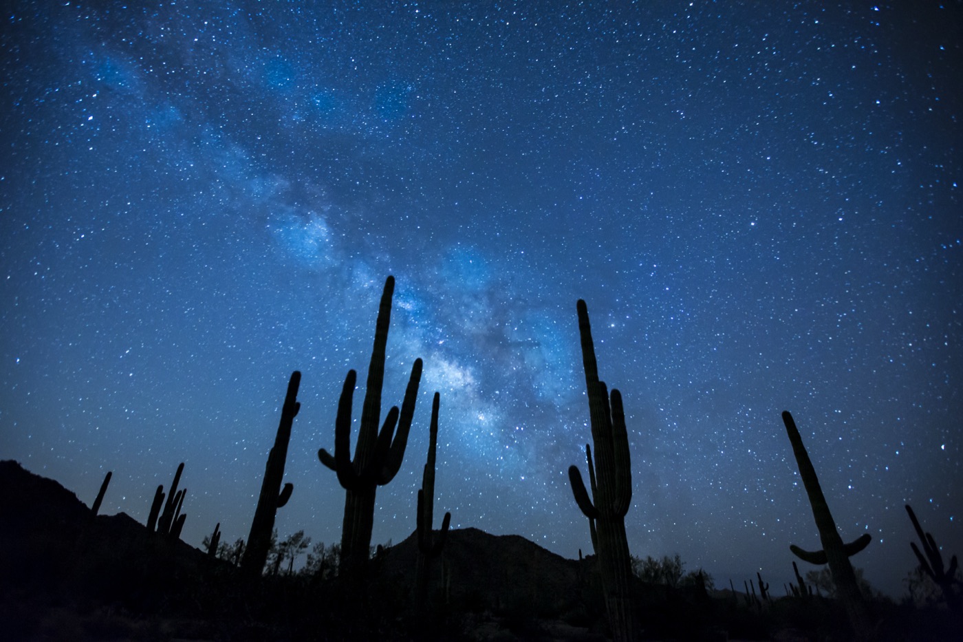 The night sky over the Sonoran Desert in Arizona, with stars above a dark desert landscape.