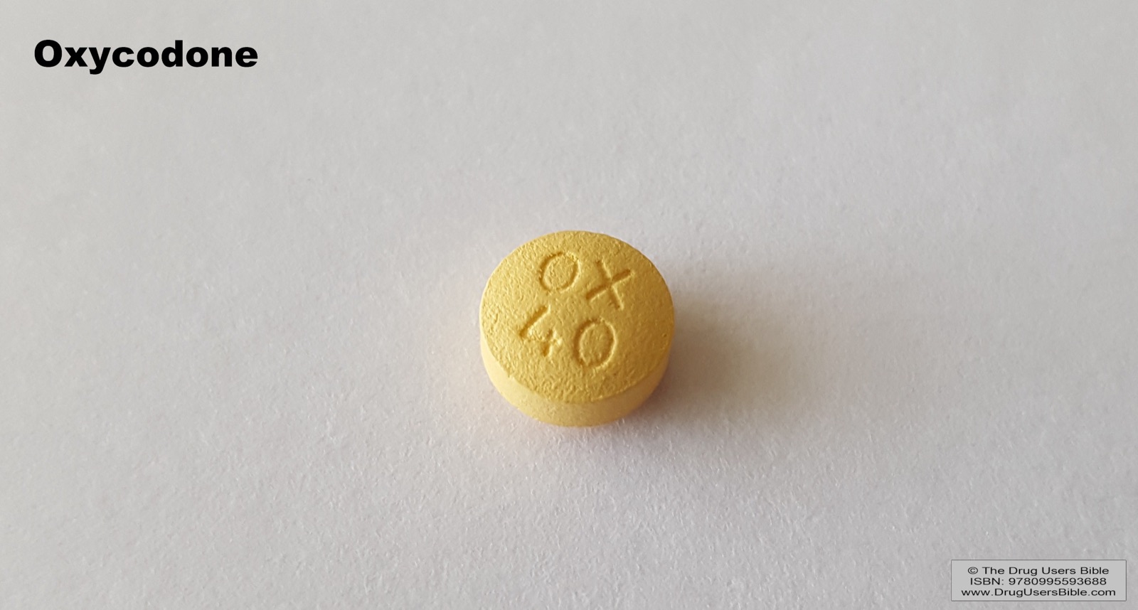 An assortment of oxycodone pills of various dosage strengths, in different colors and shapes, on a white background.