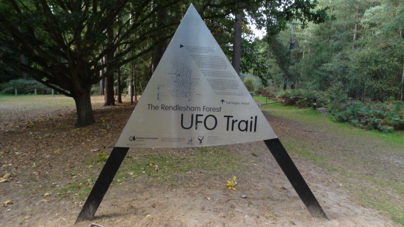 The pine woods of Rendlesham Forest in Suffolk, England, with a path leading among the trees.