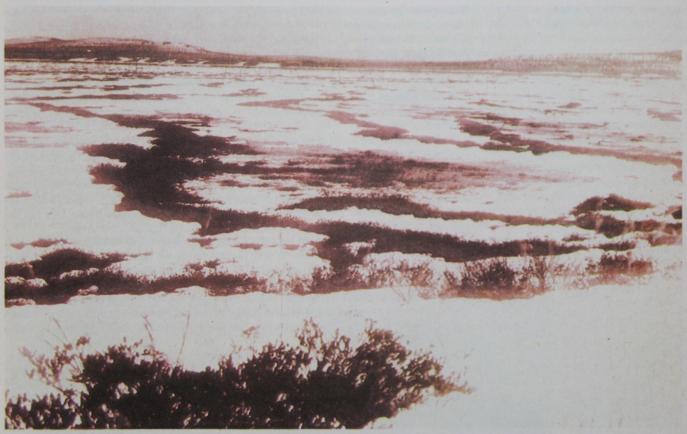 A 1930 photograph from Kulik's expedition showing the boggy, devastated terrain of the Tunguska site.