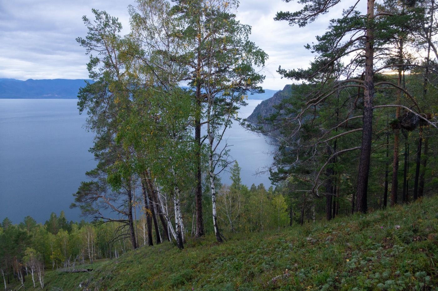 The dense Siberian taiga forest, the kind of remote wilderness over which the Tunguska explosion occurred.