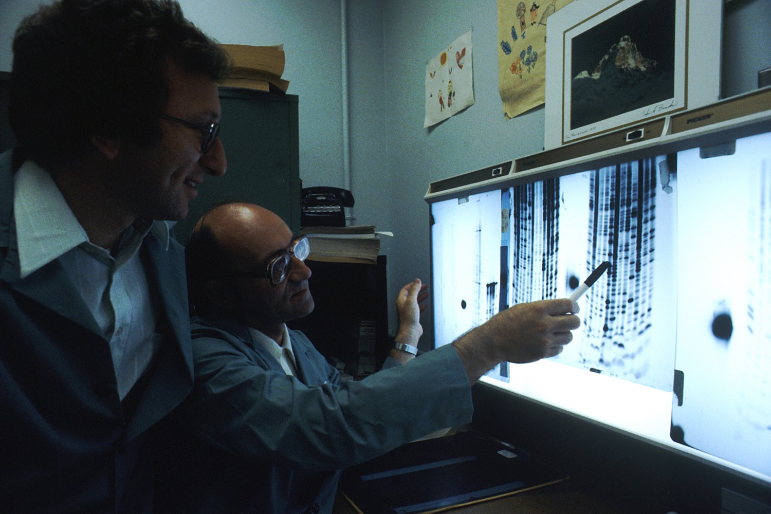 DNA sequencing in a laboratory, showing the analysis of genetic material.