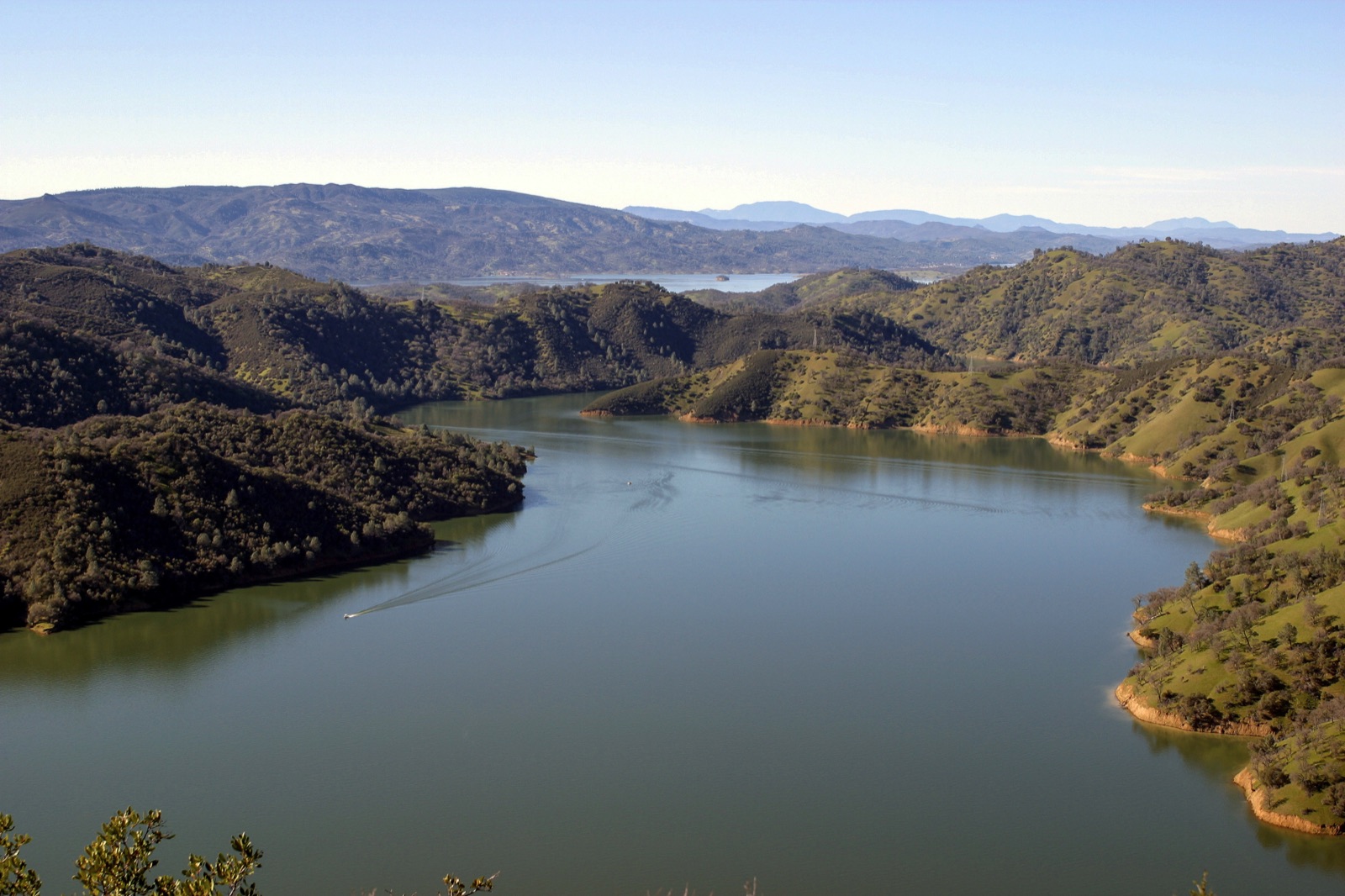 Lake Berryessa in Napa County, California — a broad green reservoir winding among rolling golden-and-green hills under a pale blue sky, a single small boat trailing a wake across the still water.